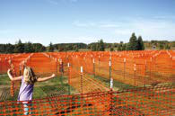 Safety Fence Production Line 4